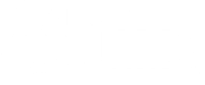 Leather Guards